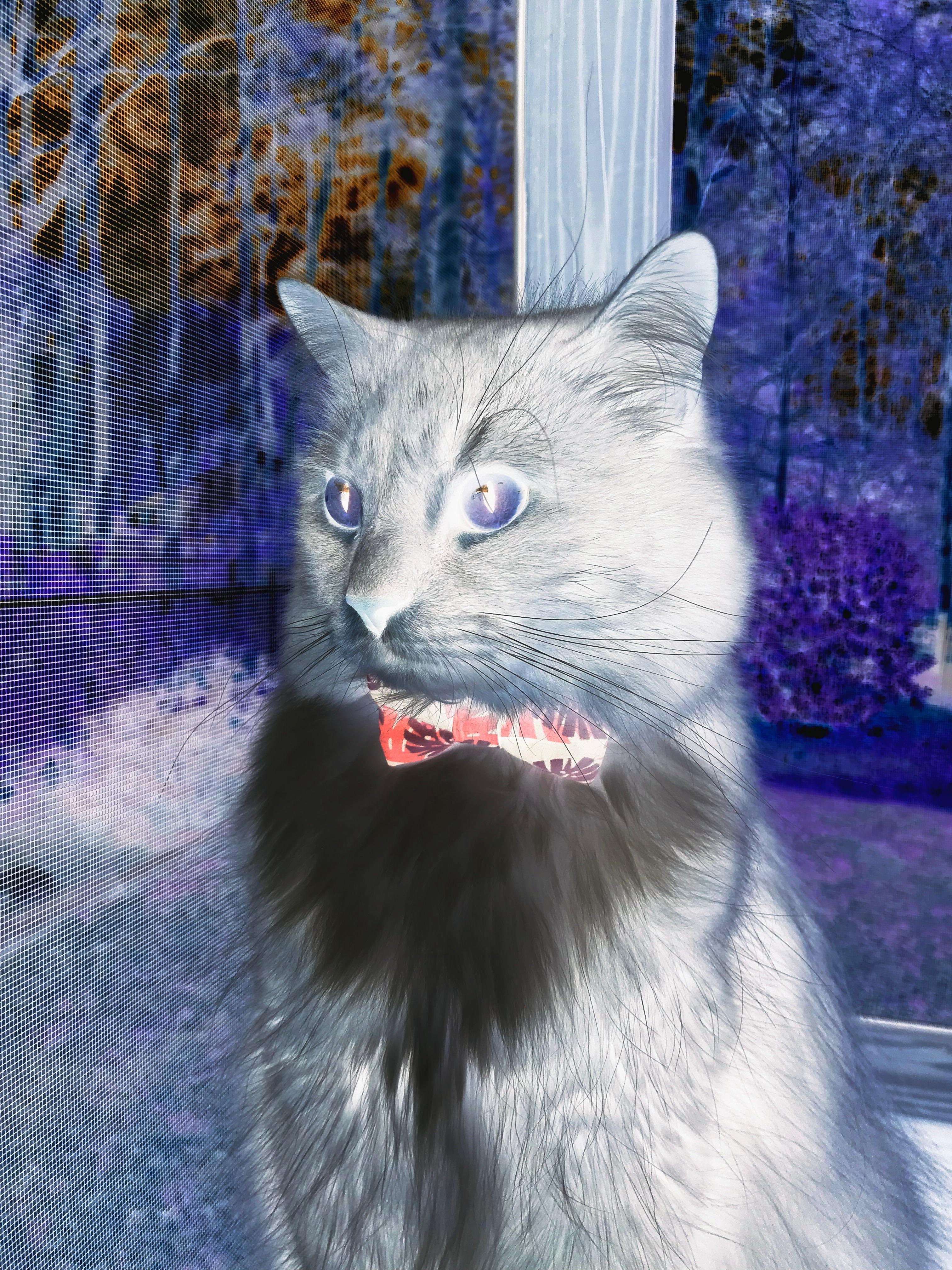 当蓝月辉光照亮红魔，一记曼城式绝杀与一个法国中场的无声统治