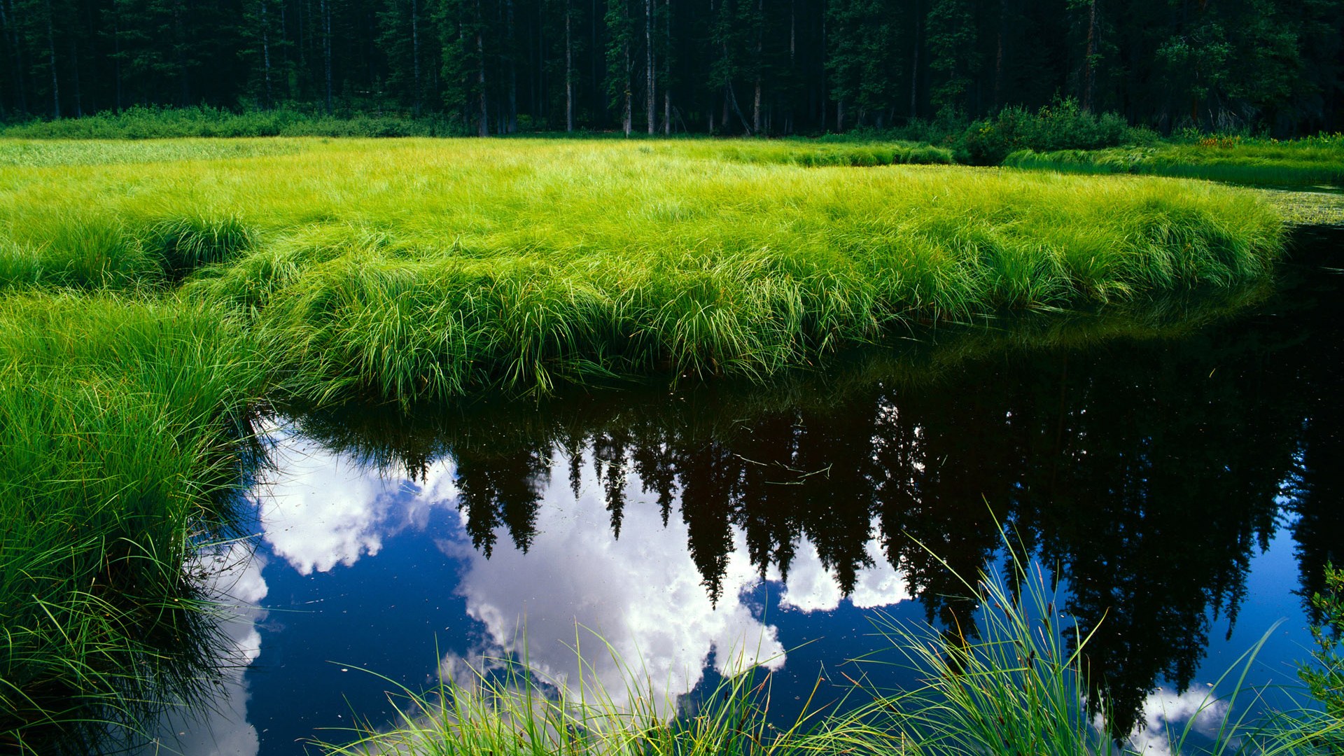 法国战术铁幕碾压，辛杜孤星难破夜