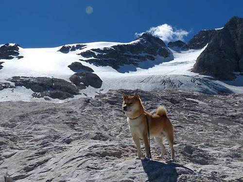 跨越绿茵场与乒乓球台，当德意志铁骑遭遇东方极速