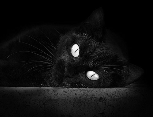 跨界星辉,阿尔及利亚与西班牙友谊赛,奥斯梅恩意外主宰全场