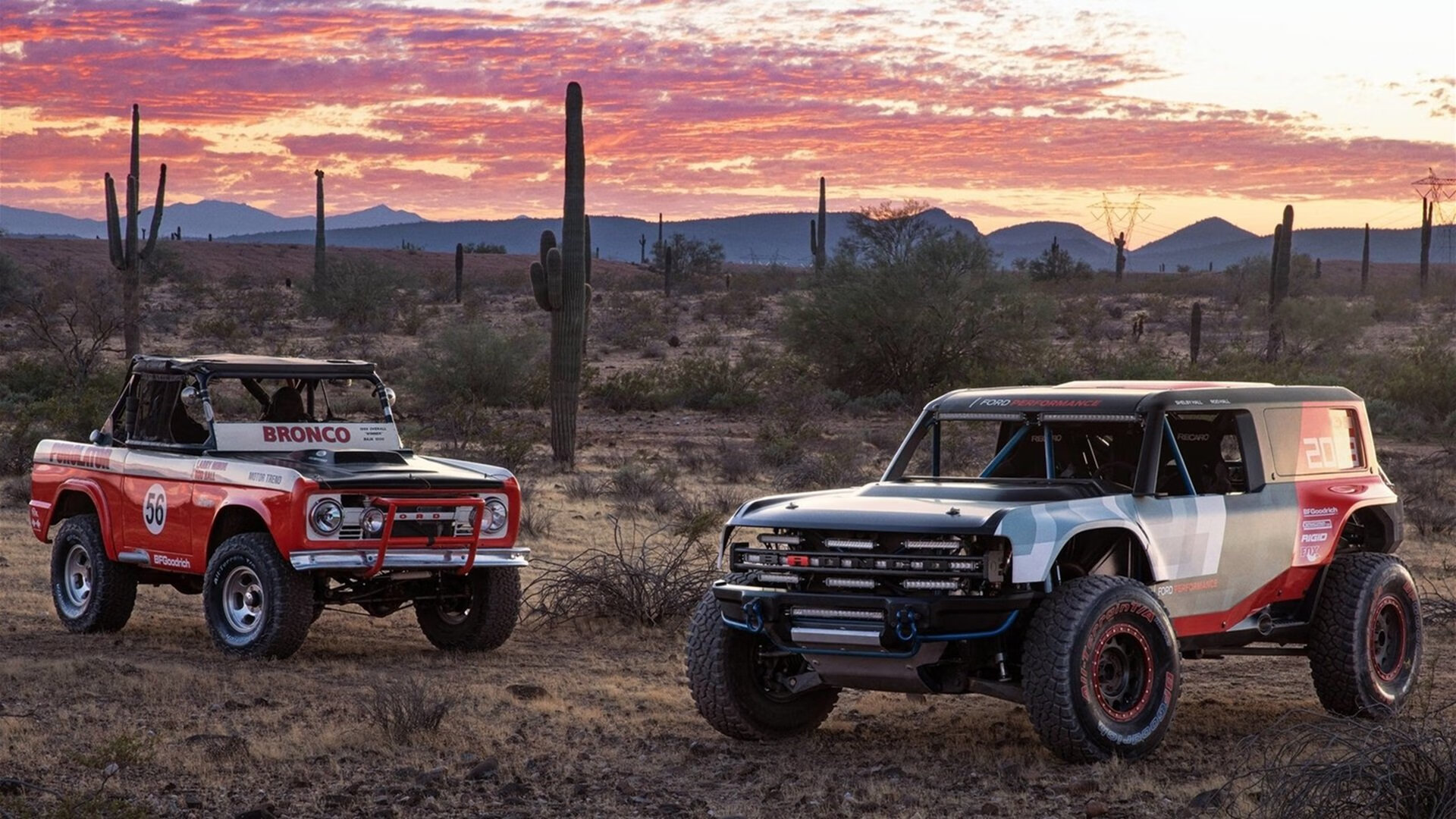 跨界星辉,阿尔及利亚与西班牙友谊赛,奥斯梅恩意外主宰全场