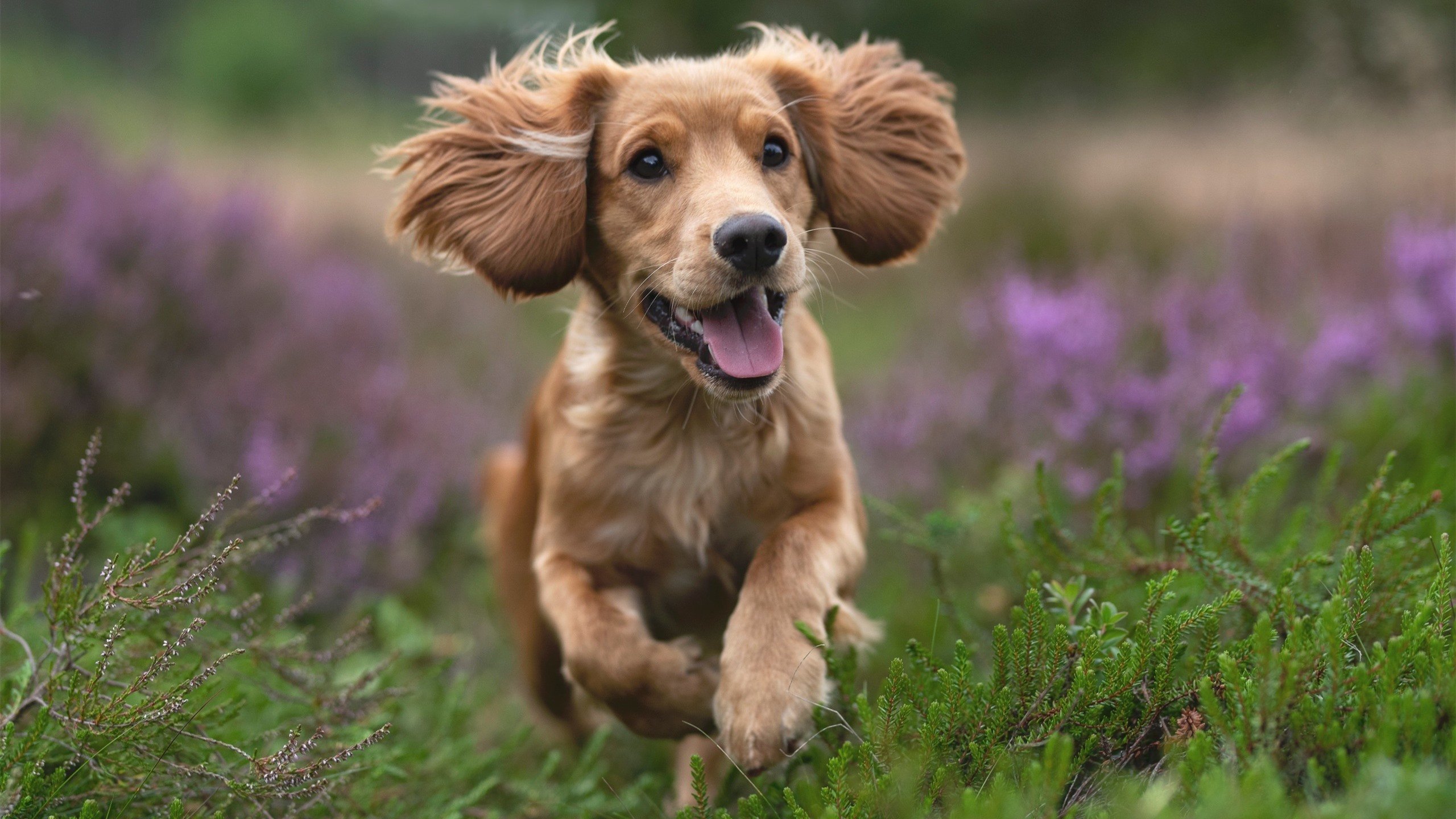 爱游戏下载-破疆！雄鹿外线风暴碾碎天山铁壁，年度焦点战显冠军相