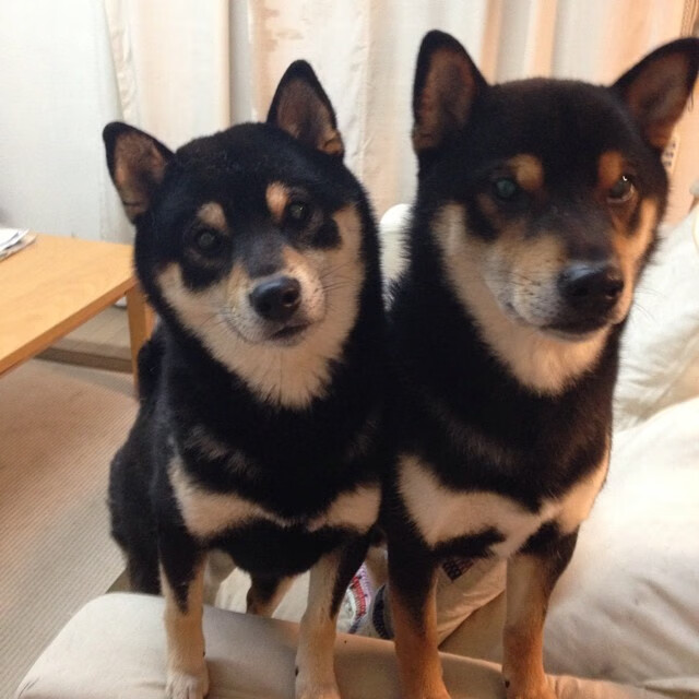 （扩展思维后拟定的三个备选）