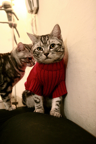 以下是根据这一思路为您构思的文章