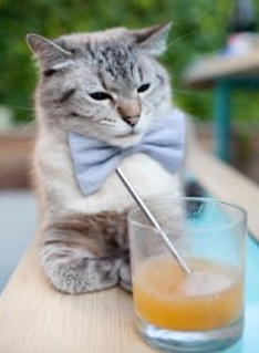 铁壁与刀锋，尼日利亚的战术封锁，罗德里戈的致命舞蹈