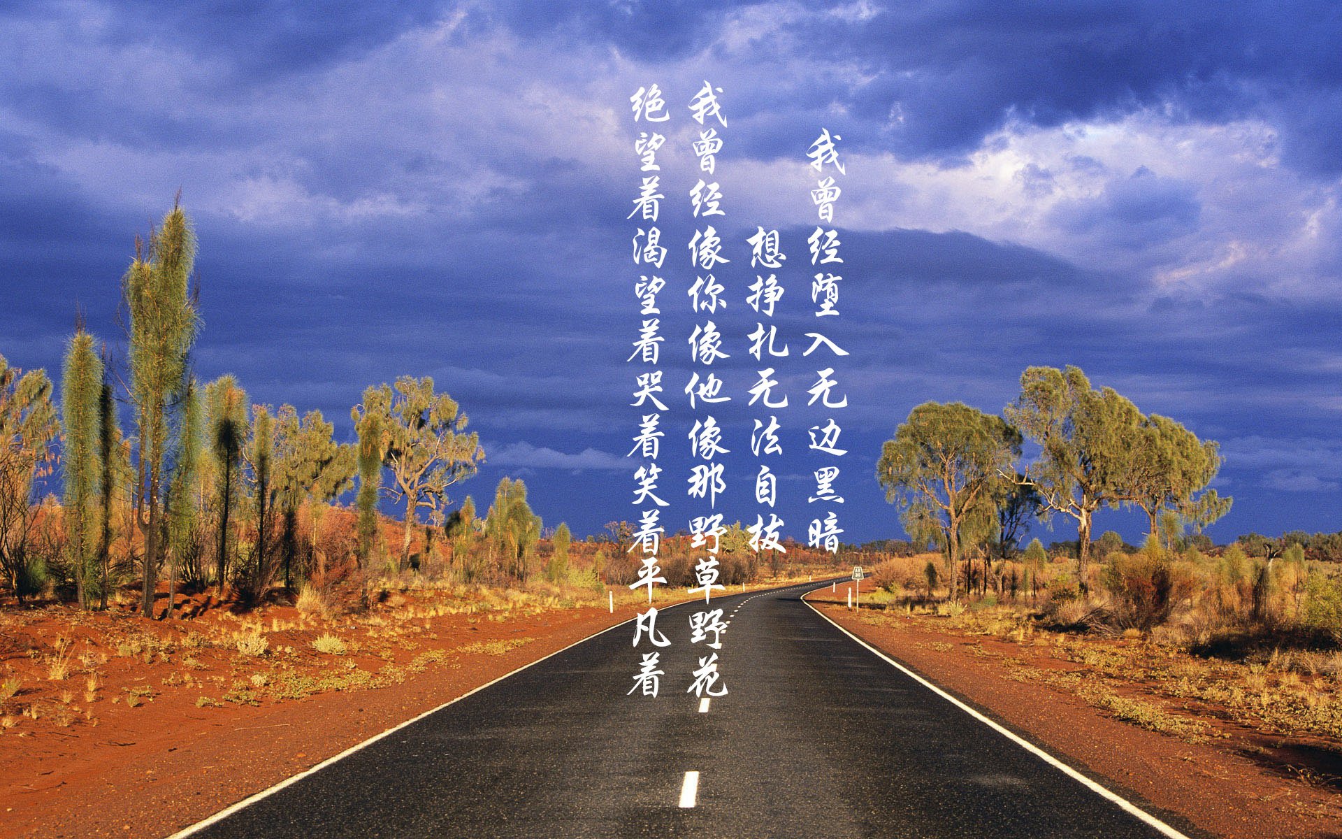 慕尼黑之夜的宿命交错,2026世界杯C组,德国横扫日本,齐耶赫以一人之力改写历史