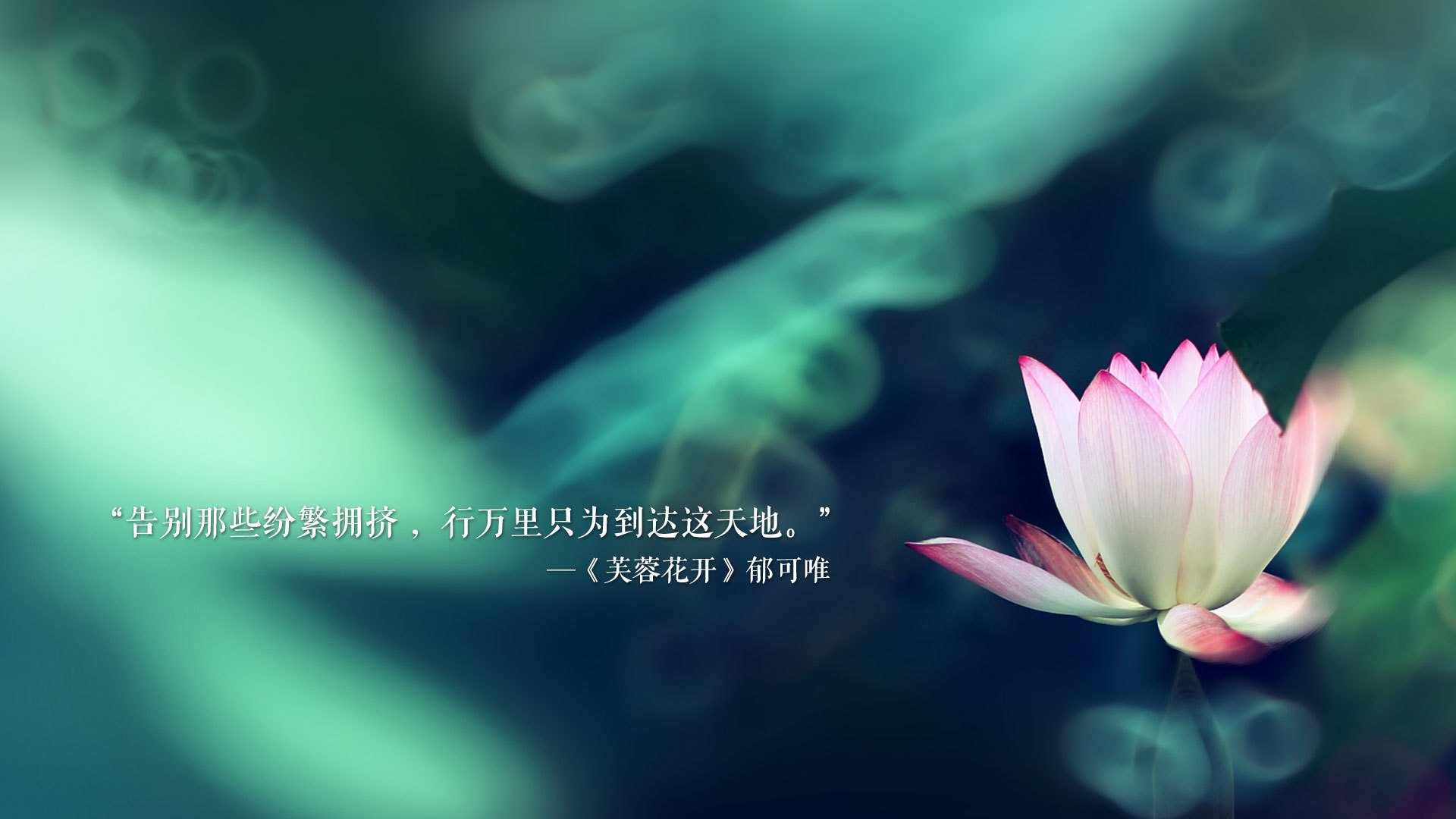 独步天下，2026世界杯D组焦点战，德布劳内导演传奇，葡萄牙绝杀荷兰书写唯一剧本