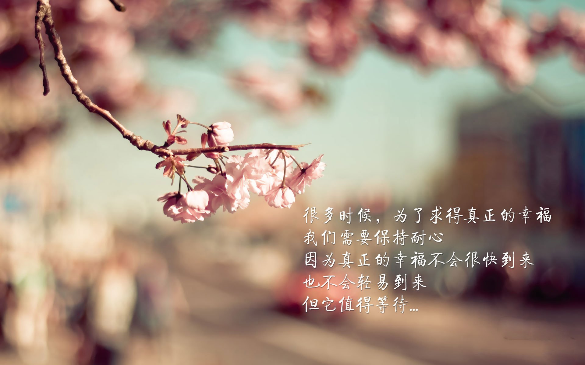 逆转之夜，2026世界杯G组，哈基米点燃挪威奇迹，美国梦碎最后一刻